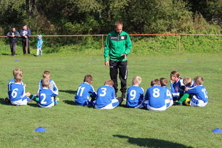 美洲杯争夺队：攻守兼备，战术百变，美洲杯的比赛